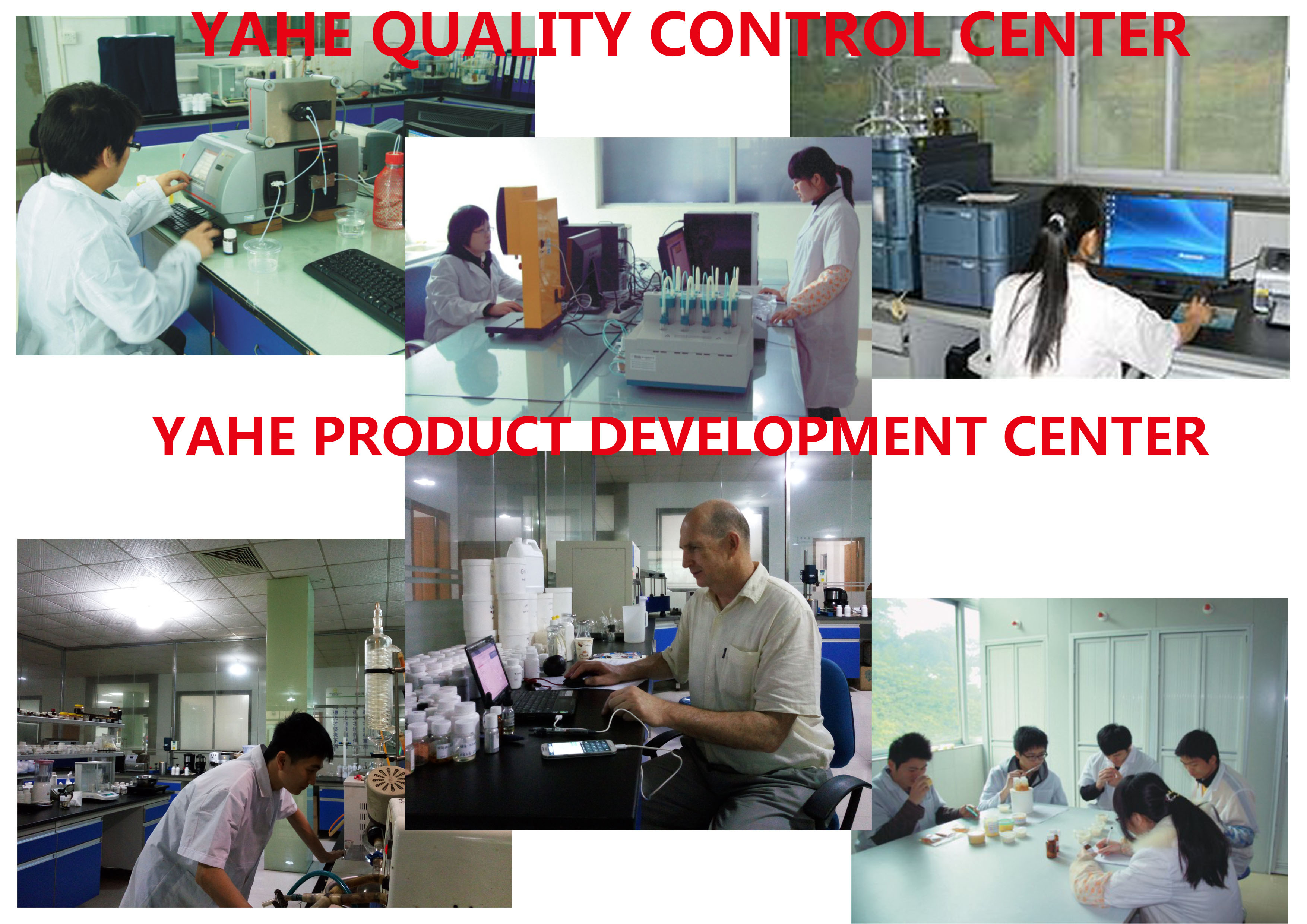 YAHE flavor & fragrance R&D department and QC team