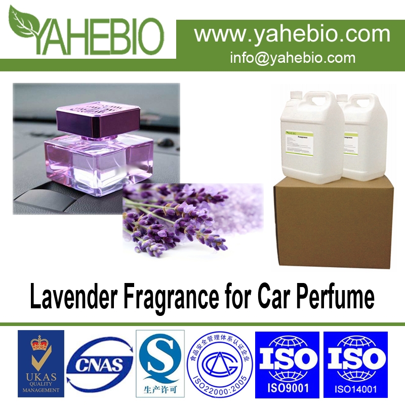 wangian lavender untuk minyak wangi auto