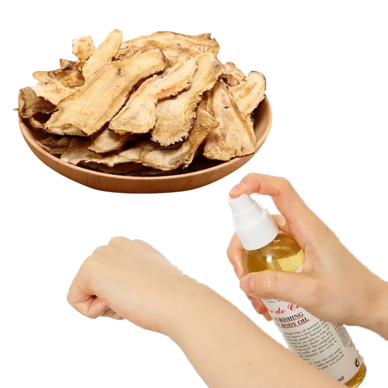 wangian angelica sinensis chinese angelica berkualiti tinggi untuk minyak urut minyak badan
